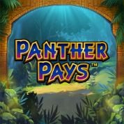 Playtech Slot