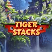 Playtech Slot